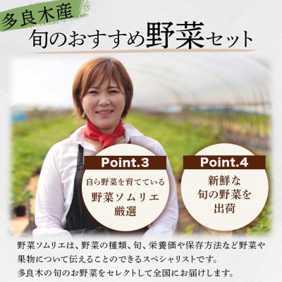 【毎月定期便】野菜ソムリエ監修 旬のおすすめ野菜セット 4〜6品(1〜2名様向け)全6回