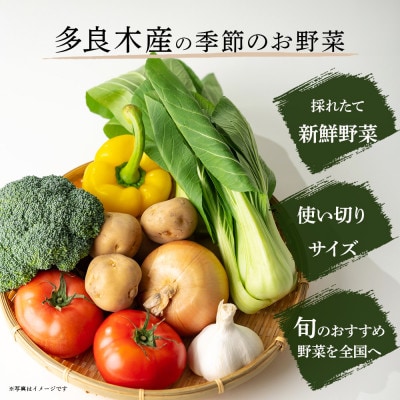 【毎月定期便】熊本の大地の恵み 旬のこだわり野菜詰め合わせセット 8〜12品(3〜4名様向け)全3回