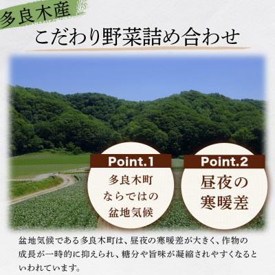 【毎月定期便】熊本の大地の恵み 旬のこだわり野菜詰め合わせセット 8〜12品(3〜4名様向け)全3回