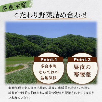 【毎月定期便】熊本の大地の恵み 旬のこだわり野菜詰め合わせセット 8〜12品(3〜4名様向け)全6回