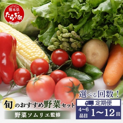 【毎月定期便】野菜ソムリエ監修 旬のおすすめ野菜セット 4～6品(1～2名様向け)全12回