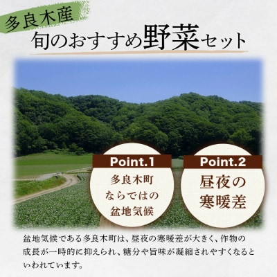 【毎月定期便】野菜ソムリエ監修 旬のおすすめ野菜セット 4～6品(1～2名様向け)全12回