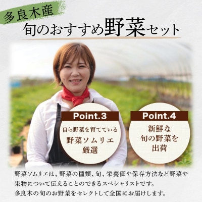 【毎月定期便】野菜ソムリエ監修 旬のおすすめ野菜セット 4～6品(1～2名様向け)全12回
