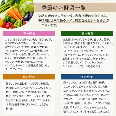 【毎月定期便】野菜ソムリエ監修 旬のおすすめ野菜セット 4～6品(1～2名様向け)全12回