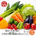 【毎月定期便】熊本の大地の恵み 旬のこだわり野菜詰め合わせセット8～12品(3～4名様向け)全12回