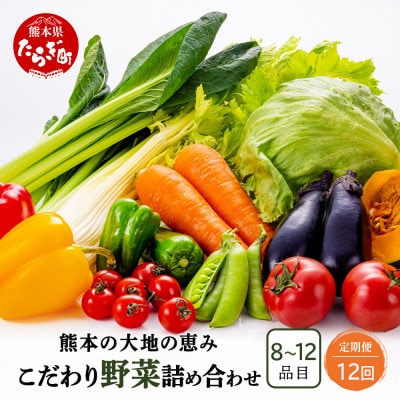 【毎月定期便】熊本の大地の恵み 旬のこだわり野菜詰め合わせセット8～12品(3～4名様向け)全12回