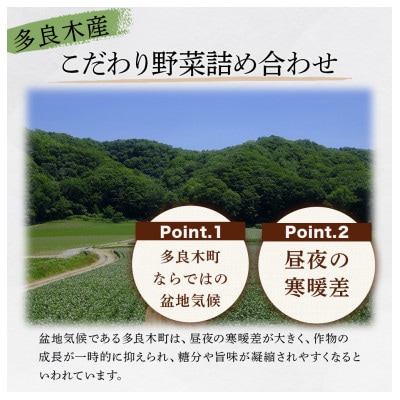 【毎月定期便】熊本の大地の恵み 旬のこだわり野菜詰め合わせセット8～12品(3～4名様向け)全12回
