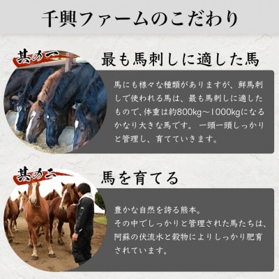 タテガミ入り馬肉ハンバーグ 計1.6kg(200g×8個)(多良木町)