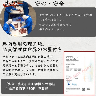タテガミ入り馬肉ハンバーグ 計1.6kg(200g×8個)(多良木町)