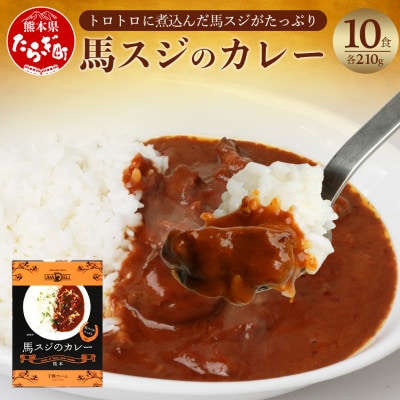 馬スジのカレー 10食セット 合計2.1kg(多良木町)