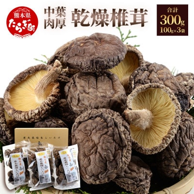 多良木町槻木産 中葉厚肉乾燥椎茸 3袋セット 合計300g (正味重量100g×3袋)