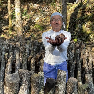 多良木町槻木産 中葉厚肉乾燥椎茸 3袋セット 合計300g (正味重量100g×3袋)