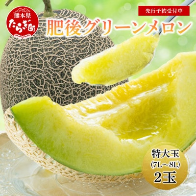 【先行受付2025年6月より順次発送】特大玉　肥後グリーンメロン 2玉(7L～8L) 約5.4kg