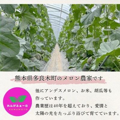 【先行受付2025年6月より順次発送】特大玉　肥後グリーンメロン 2玉(7L～8L) 約5.4kg