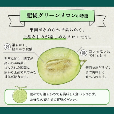 【先行受付2025年6月より順次発送】特大玉　肥後グリーンメロン 2玉(7L～8L) 約5.4kg