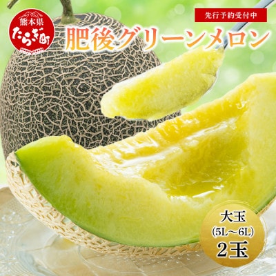 【先行受付】【2025年6月より順次発送】大玉 肥後グリーンメロン 2玉(5L～6L)約4.4kg