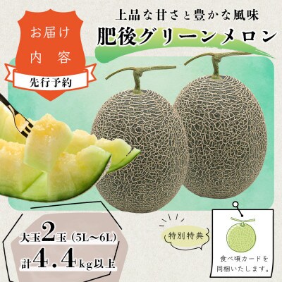 【先行受付】【2025年6月より順次発送】大玉 肥後グリーンメロン 2玉(5L～6L)約4.4kg