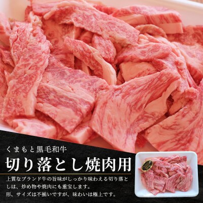 くまもと黒毛和牛 切り落とし 約500g(多良木町)