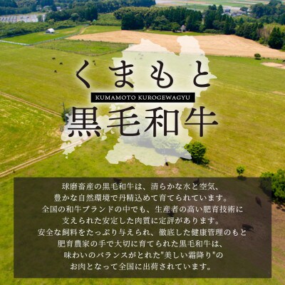 くまもと黒毛和牛 切り落とし 約500g(多良木町)