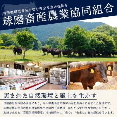 くまもと黒毛和牛 切り落とし 約500g(多良木町)