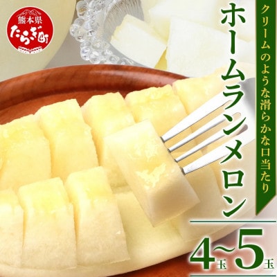 【2026年5月上旬より順次発送】熊本県産 ホームランメロン 4〜5玉 約5kg