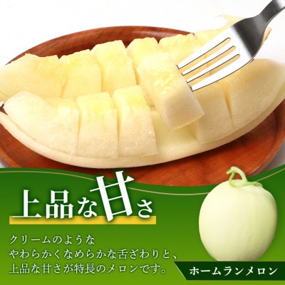 【2026年5月上旬より順次発送】熊本県産 ホームランメロン 4〜5玉 約5kg