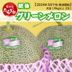 【先行受付】【2024年5月下旬～順次発送予定】肥後グリーンメロン 大玉 2玉 合計約4kg