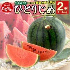 【先行受付】2024年5月上旬から順次発送 熊本県産 小玉スイカ ひとりじめ 2玉 合計5～6kg