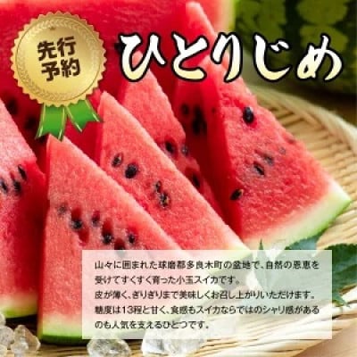 【先行受付】熊本県産 小玉スイカ ひとりじめ 1玉 4.5kg以上