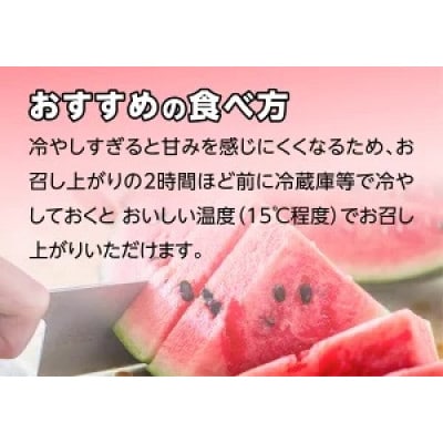 【先行受付】熊本県産 小玉スイカ ひとりじめ 1玉 4.5kg以上