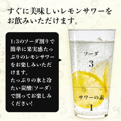 檸檬徹宵 500ml × 12本 25度