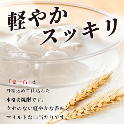 【麦一石】4L エコペット 25度(多良木町)