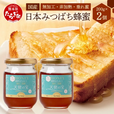 【希少はちみつ】日本みつばち蜂蜜「天使の宝」2個セット