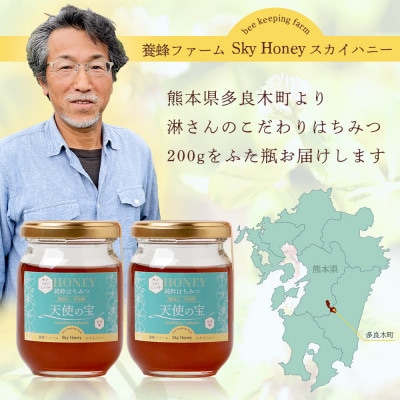 【希少はちみつ】日本みつばち蜂蜜「天使の宝」2個セット
