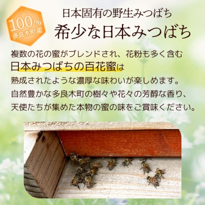 【希少はちみつ】日本みつばち蜂蜜「天使の宝」2個セット