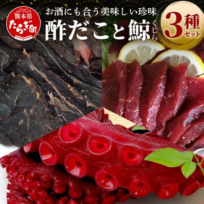 【三種食べ比べ!】酢だこ 鯨南蛮漬け 塩鯨セット 計1.5kg