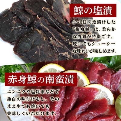 【三種食べ比べ!】酢だこ 鯨南蛮漬け 塩鯨セット 計1.5kg