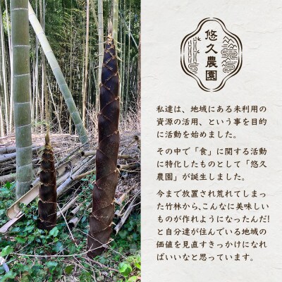 【ご飯のお供に】【国産】多良木メンマ梅味　100g