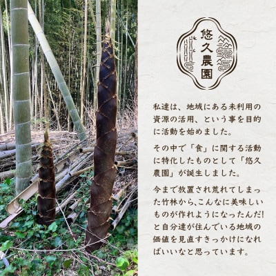 【球磨焼酎のお供に】【国産】多良木メンマ辛子味噌味 100g