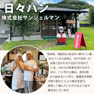【訳あり】パン屋直送!お試しパンセット(17～18個)(多良木町)