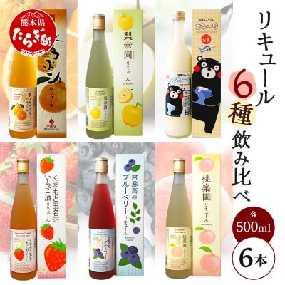常楽酒造 リキュール 6種 飲み比べ  063-0690(多良木町)