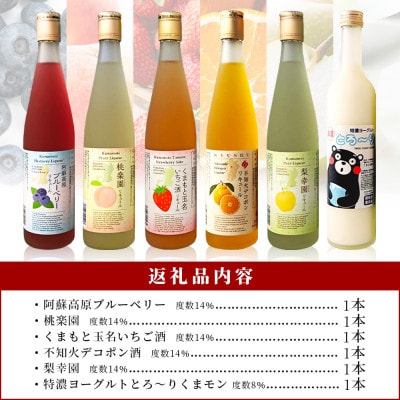 常楽酒造 リキュール 6種 飲み比べ  063-0690(多良木町)