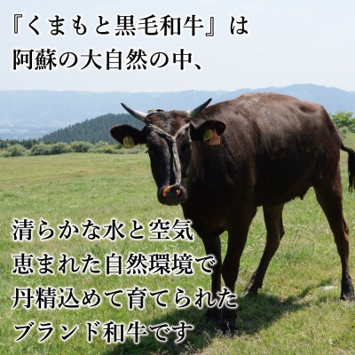 訳あり!【A4～A5】くまもと黒毛和牛切り落とし　1.5kg(500g×3p)(多良木町)