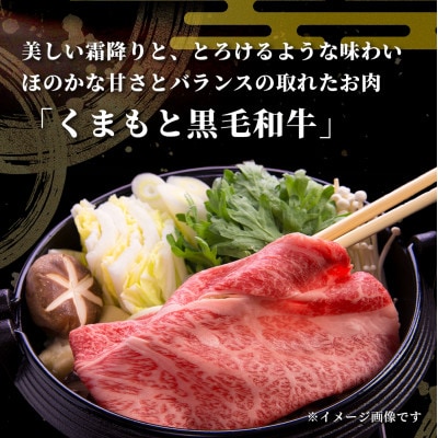 【訳あり】くまもと黒毛和牛 切り落とし800g(多良木町)