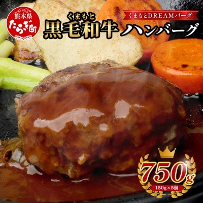 くまもと黒毛和牛ハンバーグ「くまもとDREAMバーグ」計750g(多良木町)