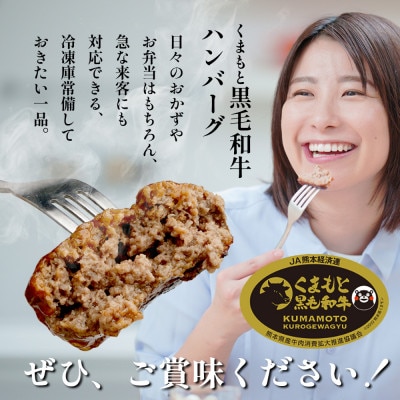 くまもと黒毛和牛ハンバーグ「くまもとDREAMバーグ」計750g(多良木町)