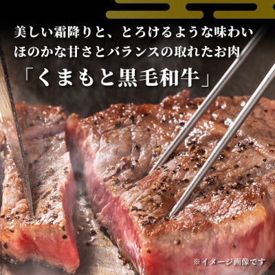 くまもと黒毛和牛 1ポンドステーキ 500g(多良木町)