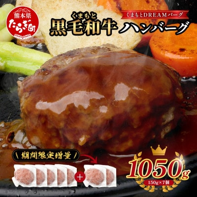【先行受付】期間限定増量!DREAMバーグ 5個+2個(多良木町)