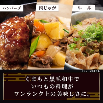【先行受付】期間限定増量!くまもと黒毛和牛切り落とし1kg+DREAMバーグ3個(多良木町)