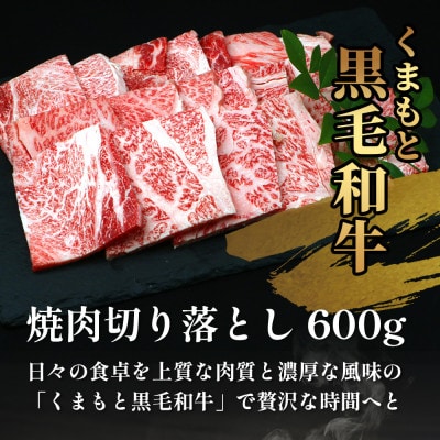 【先行受付】期間限定増量!くまもと黒毛和牛切り落とし600g+DREAMバーグ150g×2 多良木町